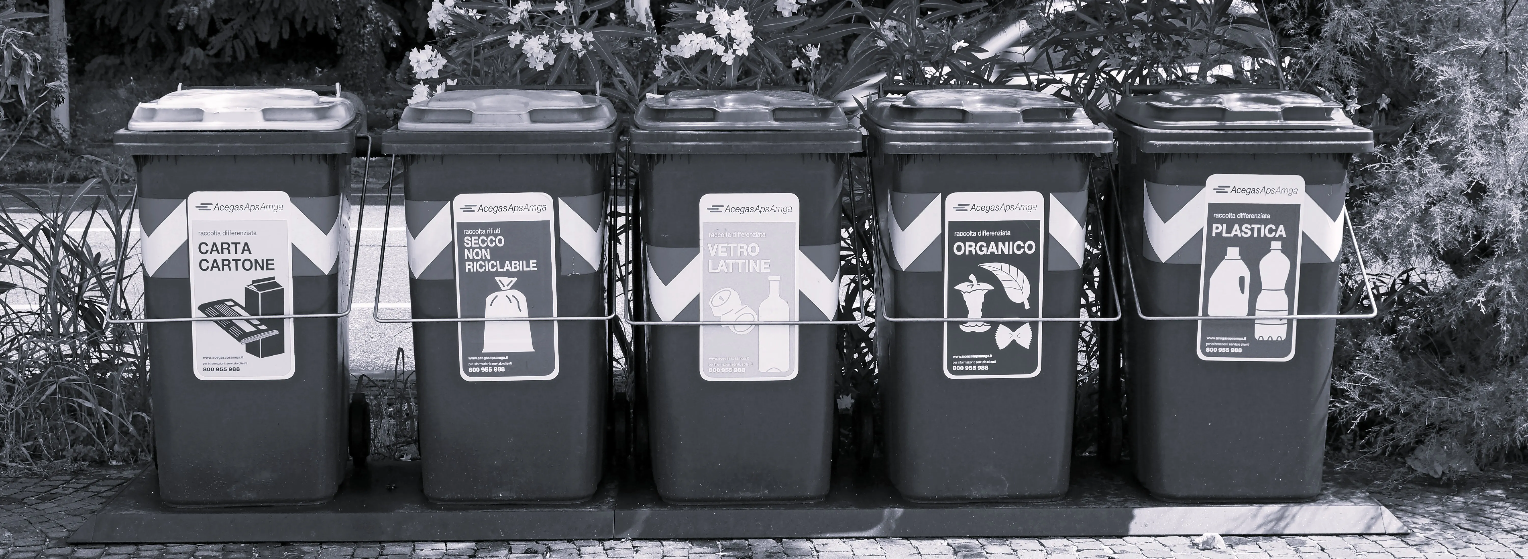 Fem sopkärl i rad utmed en trottoar, vart och ett med en egen skylt och en bild på vad som ska i det: papper, brännbart, glas och burkar, matavfall och plast.